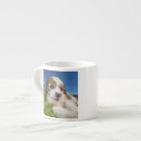 Search for canada mugs Outdoors