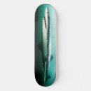 Search for predators skateboards Shark