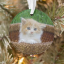 Search for long haired cat christmas tree decorations Pet