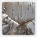 Search for birch tree stickers Country