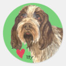 Search for italiano stickers Italian wire haired pointer