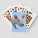 Search for baby pig playing cards Piglet