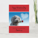 Search for cockapoo cards From the dog