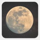 Search for full moon stickers Night sky