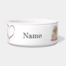 Search for tibetan spaniel Cute
