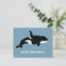 Search for orca killer whale cards Dolphin