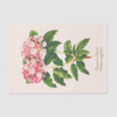 Search for decoupage gift wrap Floral