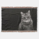 Search for tabby cat blankets Photography