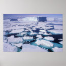 Search for antarctica posters Scenic