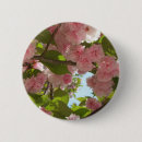 Search for cherry blossom badges Nature