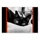 Search for big eyed cards Black cat