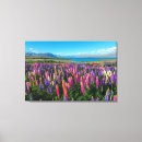 Search for new zealand canvas prints Landscape