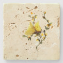 Search for travertine coasters Home