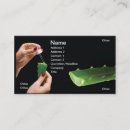 Search for clip business cards Beauty