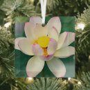 Search for pond christmas tree decorations Water lily