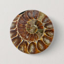 Search for fossils badges Spiral