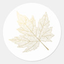 Search for gold maple leaf stickers Leaves