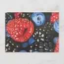 Search for coloured pencil postcards Colourful