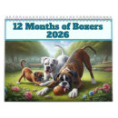Search for boxer dog calendars Cute