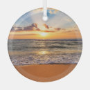 Search for beach glass christmas tree decorations Florida