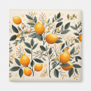 Search for summer fruit magnets Nature