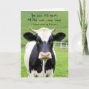 Search for cow birthday cards Funny