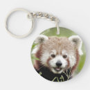 Search for cute red panda key rings Kawaii