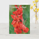 Search for gladiolus flowers cards Red