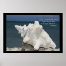 Search for shell beach posters Seashells