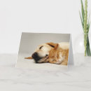 Search for warm fuzzy cards Cat