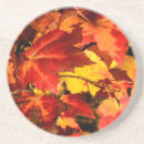 Search for copper barware Autumn