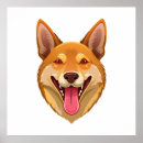 Search for dingo posters Cute