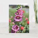 Search for inspirational cards Pink