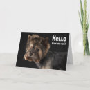 Search for yorkie cards Puppy