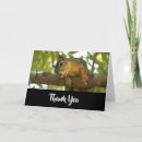 Search for photography thank you cards Cute