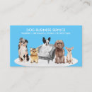 Search for dog sitting business cards Pet sitter