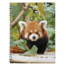Search for red panda notebooks Furry