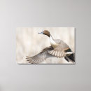 Search for drake canvas prints Superstock