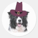 Search for border collies stickers Herding