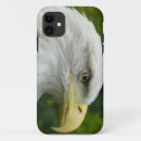Search for american bald eagle iphone cases Bird