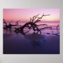 Search for jekyll art Driftwood