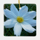 Search for cosmos christmas tree decorations Botanical