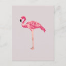 Search for flamingo postcards Illustration