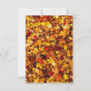 Search for fall vertical note cards Foliage