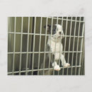 Search for cage postcards Dogs