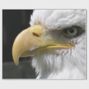 Search for eagles wrapping paper Animals