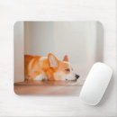 Search for dog sleeping mousepads Cute