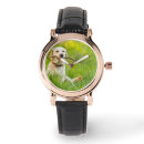 Search for labrador watches Cute