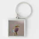 Search for adam jones key rings Bird