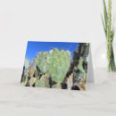 Search for prickly cards Cacti